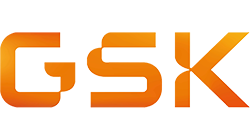 Bronze Sponsor